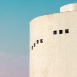 Stop The Slaughterhouse on CSU’s Campus