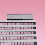 Support the Kingman Park Community Art Project